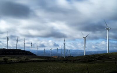La convivencia de la energía eólica, el medio ambiente y los municipios es posible, según ‘Vecinos eólicos’