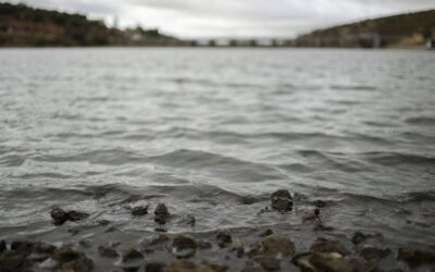 Un estudio detecta que los embalses españoles pierden un 10 % de agua por evaporación