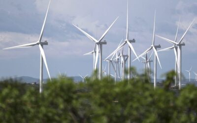 Neoenergía refuerza su apuesta por las energías limpias y anuncia el neto cero en la COP30
