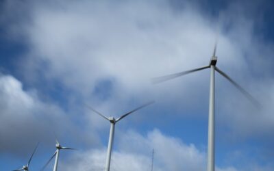 Alcanzar un mayor compromiso climático: el deseo común de los ecologistas para 2026