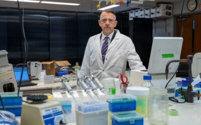 El pesticida agrícola Clorpirifós, a largo plazo y en dosis bajas, acelera el envejecimiento en peces
