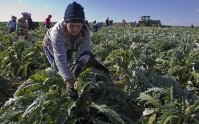 Los ecologistas temen que el acuerdo de la Unión Europea con Mercosur aumente la deforestación y las emisiones