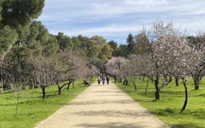 Comienza la primavera meteorológica tras un invierno de borrascas y lluvias inéditas