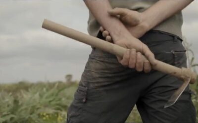 Valencia convoca los premios “San Isidro Labrador” para reconocer el trabajo de agricultores, ganaderos y pescadores