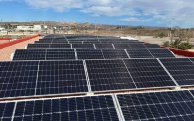 Elche evitará la implantación indiscriminada de plantas fotovoltaicas en zonas sensibles