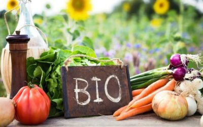 Aumentar la proporción de la agricultura ecológica contribuye a mantener suelos más sanos