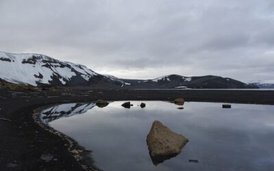 Detectan por primera vez microplásticos en la isla Decepción, en la Antártida