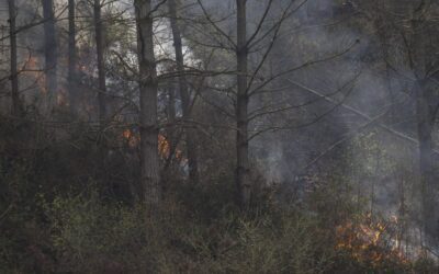 Los incendios calcinaron 22.087 hectáreas en los primeros 100 días de 2026
