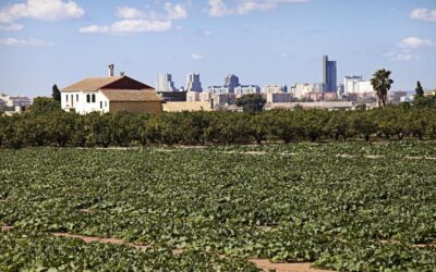 Valencia debate la adaptación del PGOU al Plan de la Huerta para recuperar las alquerías y dinamizar la huerta degradada