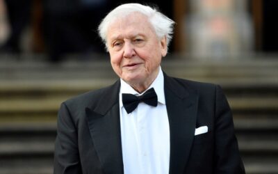 David Attenborough, el gran divulgador de la naturaleza, cumple 100 años
