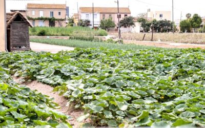 Valencia reconoce la trayectoria, innovación y compromiso de quienes emprenden en agricultura