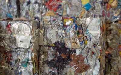Día Internacional del Reciclaje: los objetos cotidianos que más dudas generan