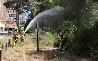 Bomberos de Valencia y vecinos de El Saler prueban una app propia que les comunica en tiempo real durante las emergencias de incendios
