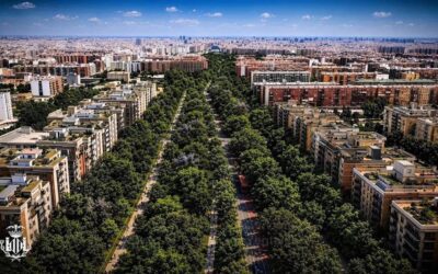 El paseo García Lorca de Valencia destinará el 88% a espacios peatonales, verdes y ciclistas y un 12% a viario incluyendo el carril bus
