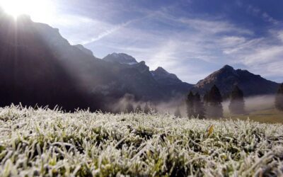 ONU: La erosión de pastizales por la sequía y el cambio climático amenaza los sistemas alimentarios