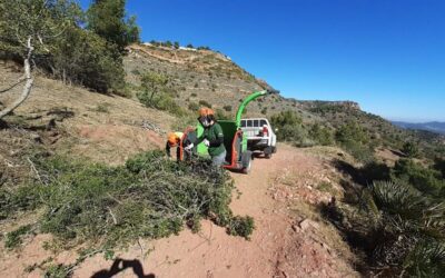 El Consell invierte 42 millones de euros en el servicio de vigilancia preventiva frente al riesgo de incendios forestales