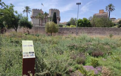 Valencia abre el nuevo Jardín de Polinizadores en el Jardín del Túria