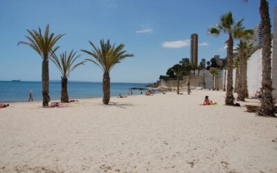 Ecologistas en Acción otorga 6 banderas negras a la costa valenciana por problemas ambientales