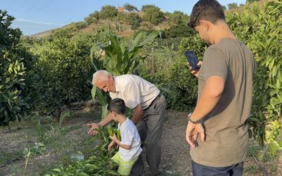 Un ‘agroinfluencer’ octogenario triunfa en redes con consejos del campo junto a su nieto