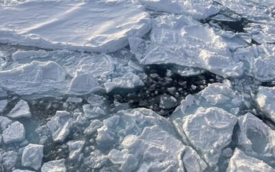 Se acabó la ‘pausa’: el hielo invernal del Ártico vuelve a disminuir drásticamente