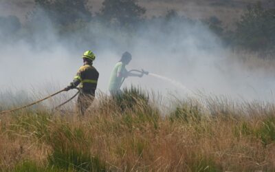 Incendios de sexta generación: el fuego que desborda la extinción y altera la atmósfera