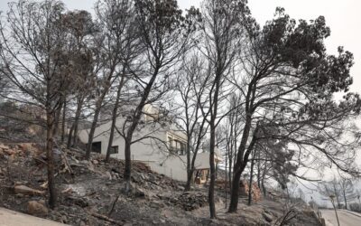 El incendio de la Vall d’Uixó avanza descontrolado tras quemar 4.300 hectáreas
