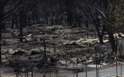 Ecologistas en Acción pide priorizar la inversión en prevención de incendios forestales