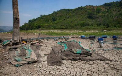 El calor extremo y las sequías serán cinco veces más frecuentes al final del siglo