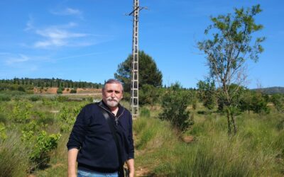 Josep Bort (Ecologistas en Acción): “No tenemos que esperar a que muera un ave en peligro de extinción, para que rectifiquen los tendidos peligrosos”