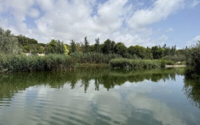 Hidraqua celebra el décimo aniversario del parque inundable La Marjal como referente internacional anti-inundaciones