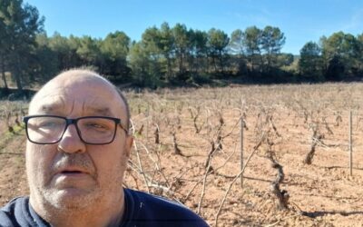Luis Javier Navarro: “Este año se han quedado viñas sin cultivar en toda la Comunidad y no podemos permitirnos destrozar el paisaje y la biodiversidad”