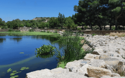 Hidraqua apuesta por naturalizar espacios, usar agua regenerada y reducir los plásticos para enfrentar el desafío climático