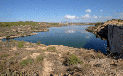 La reserva hídrica se sitúa al 53,8 % en la cuenca del Júcar y al 25,5 % en la del Segura