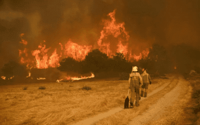 Bruselas dice que mejorar la prevención de incendios «no es opcional», sino una «necesidad»