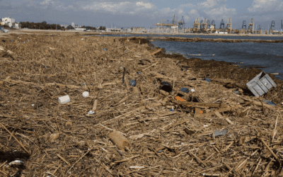 Los ciudadanos ven la contaminación y los desastres de origen humano como la peor amenaza a la biodiversidad