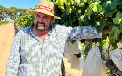Enrique Sánchez: “Las macroplantas fotovoltaicas arrasarían todo lo que está plantado y esta uva está aferrada al territorio del Vinalopó”