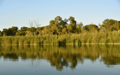 Valencia avanza en la candidatura de La Albufera como Reserva de la Biosfera por la Unesco